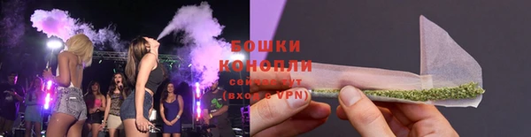 PSILOCYBIN Бородино